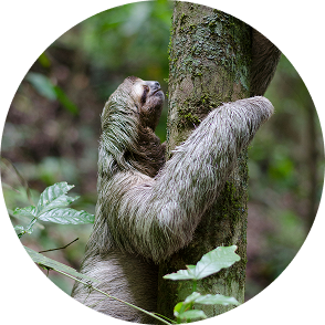 稽核流程繁瑣、效率低