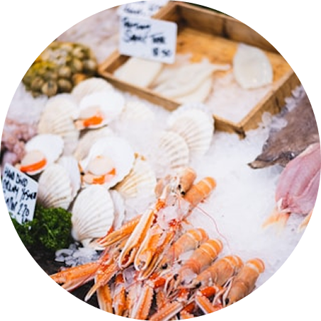 冷凍海鮮批發業