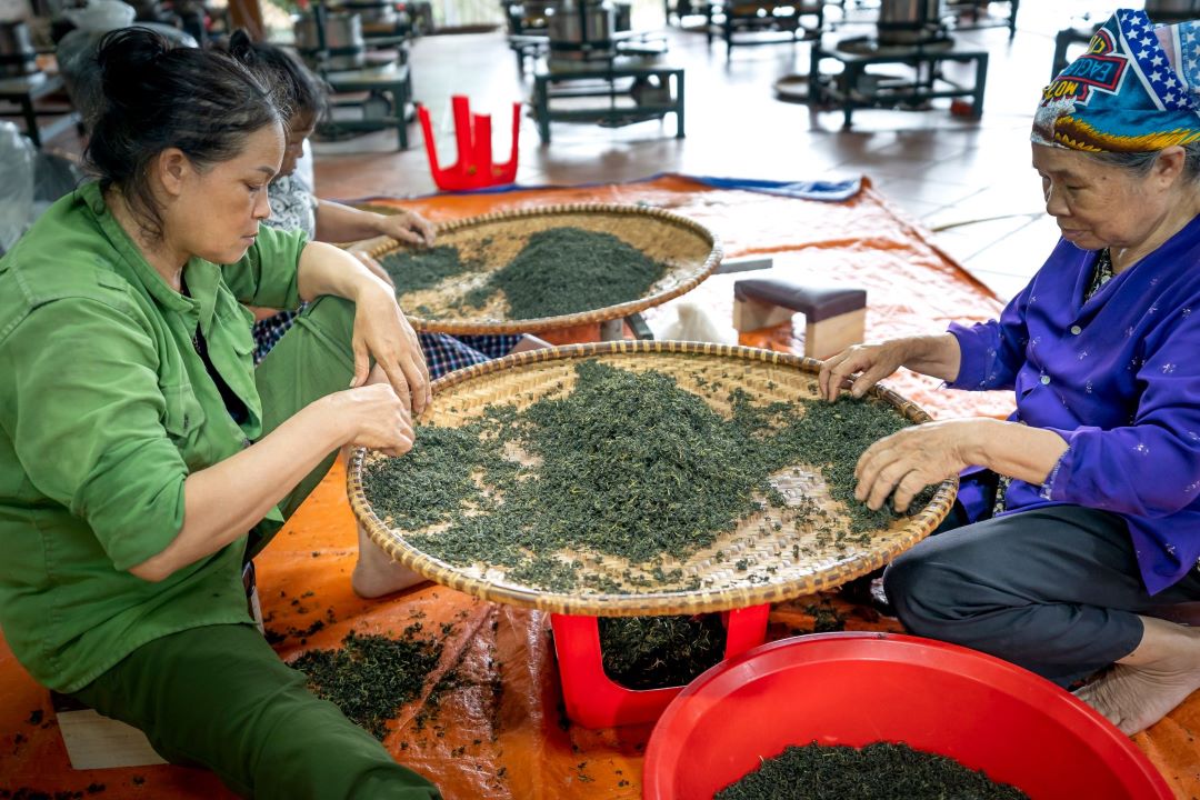 茶葉廠銷售採購與帳款管理成果